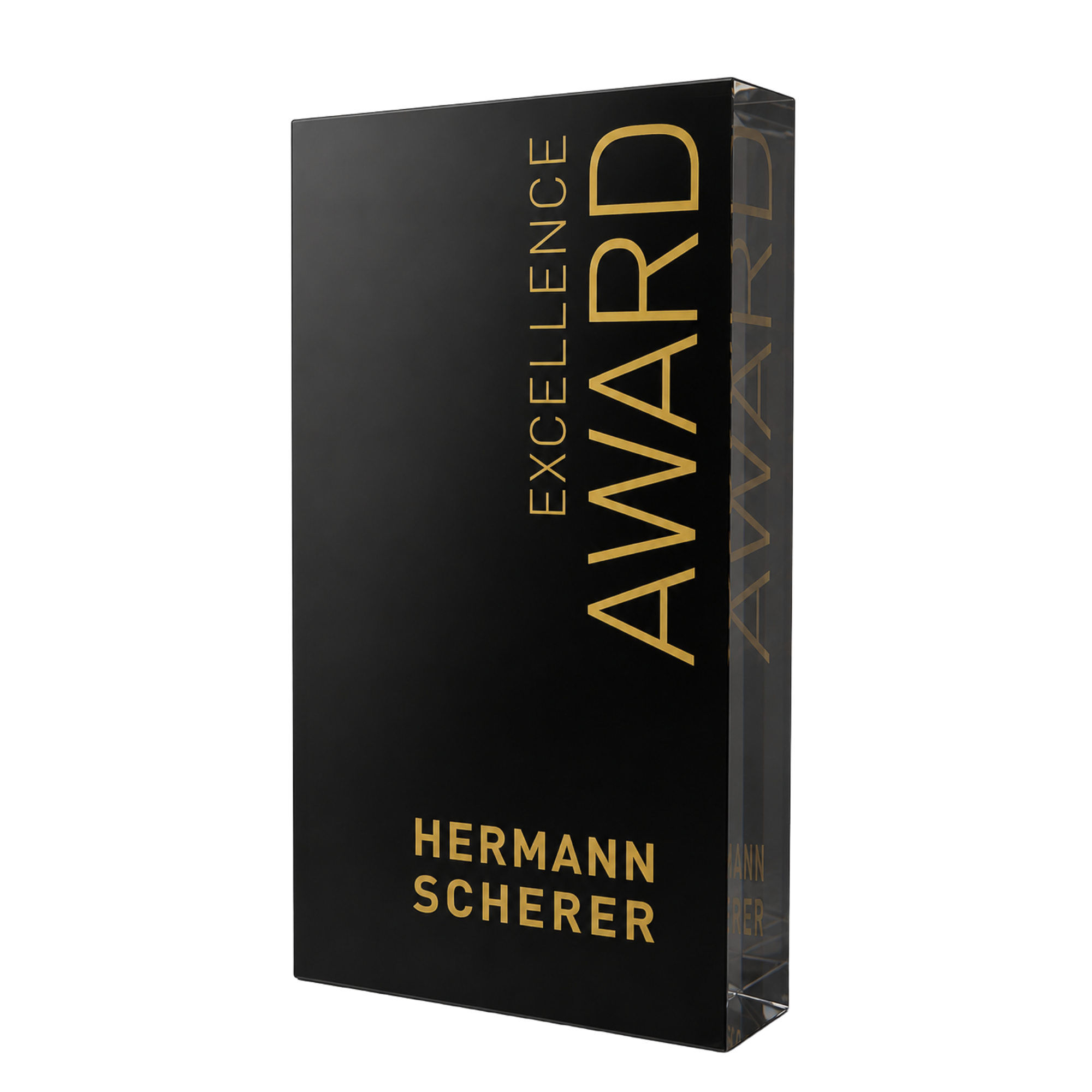 Excellence Award – Hermann Scherer
